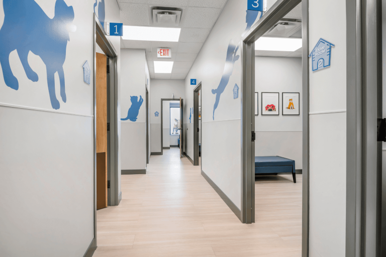 Livewell Animal Hospital Exam Room Hallway