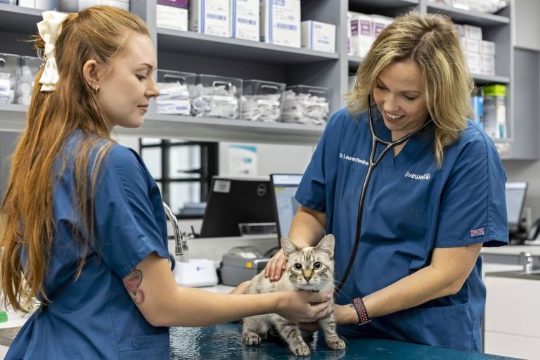 Livewell Animal Hospital of Elizabeth