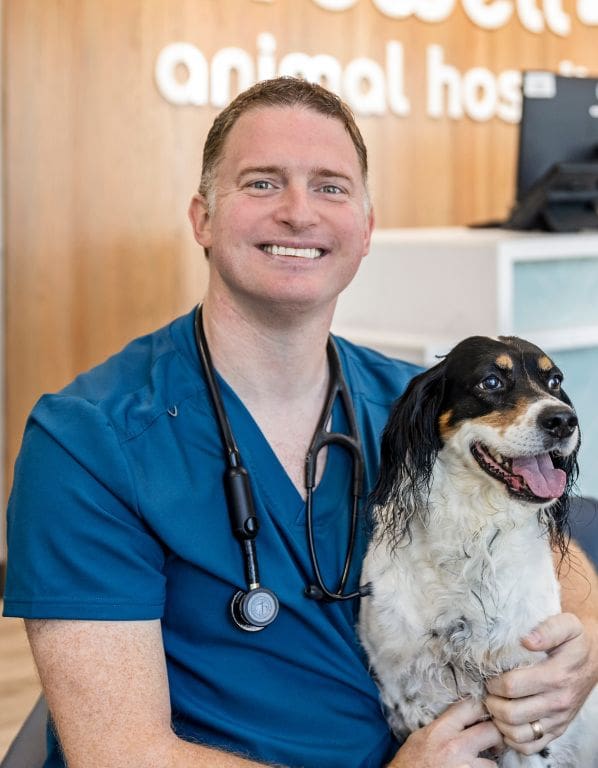 Brad Stock, Lead Veterinarian and Founder