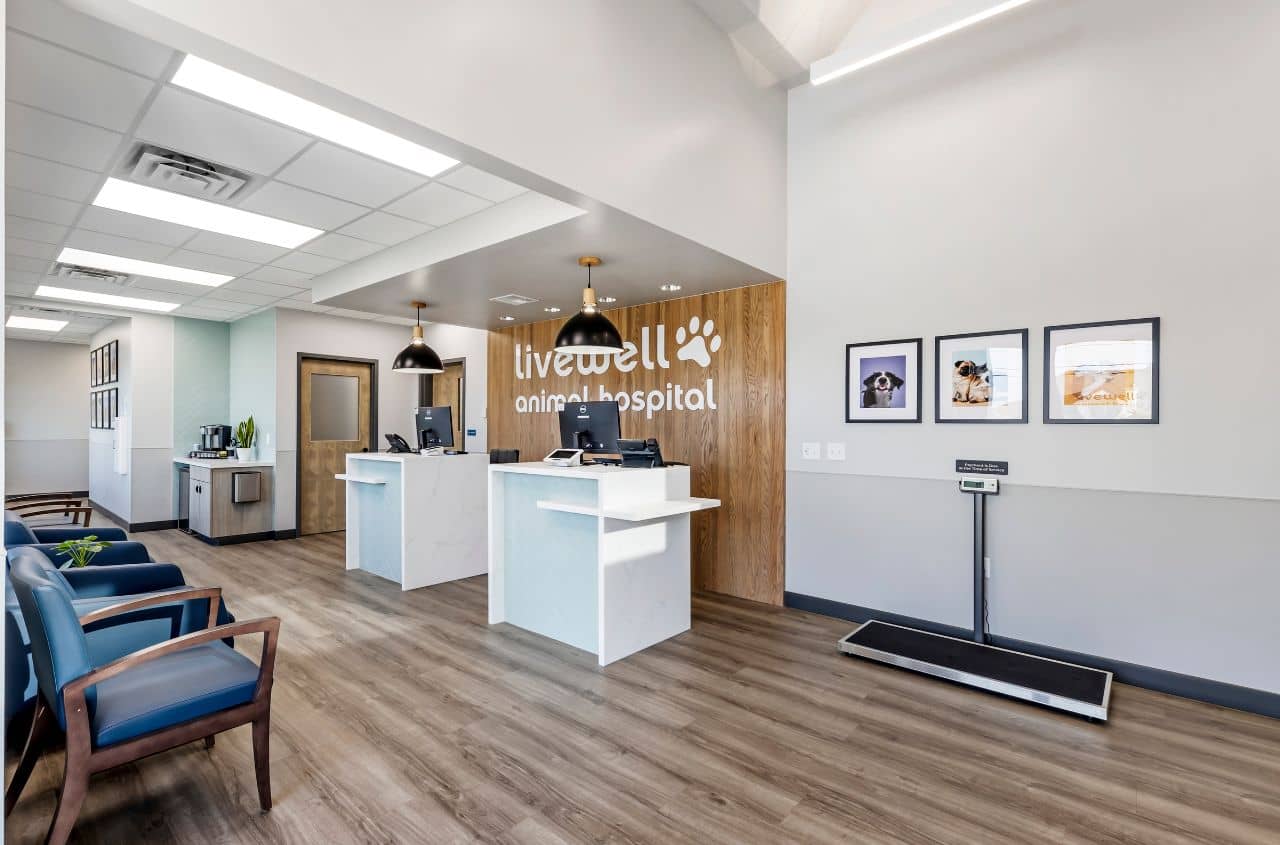 Edmond's empty receptionist area with pet scale in view