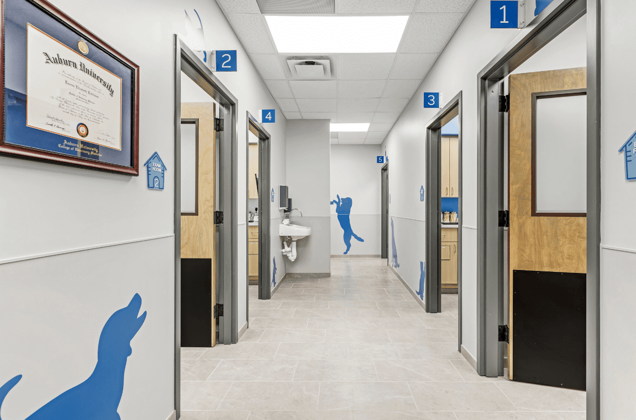 View of the exam room hallway