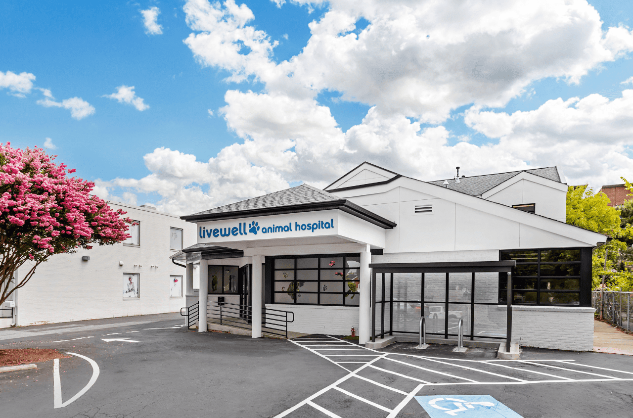 The outside front view of the Livewell Animal Hospital of Elizabeth