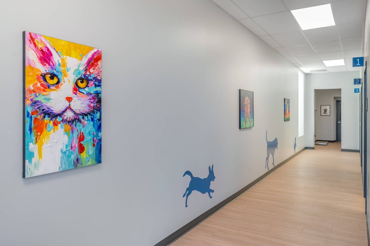 The left side view of the exam room hallway