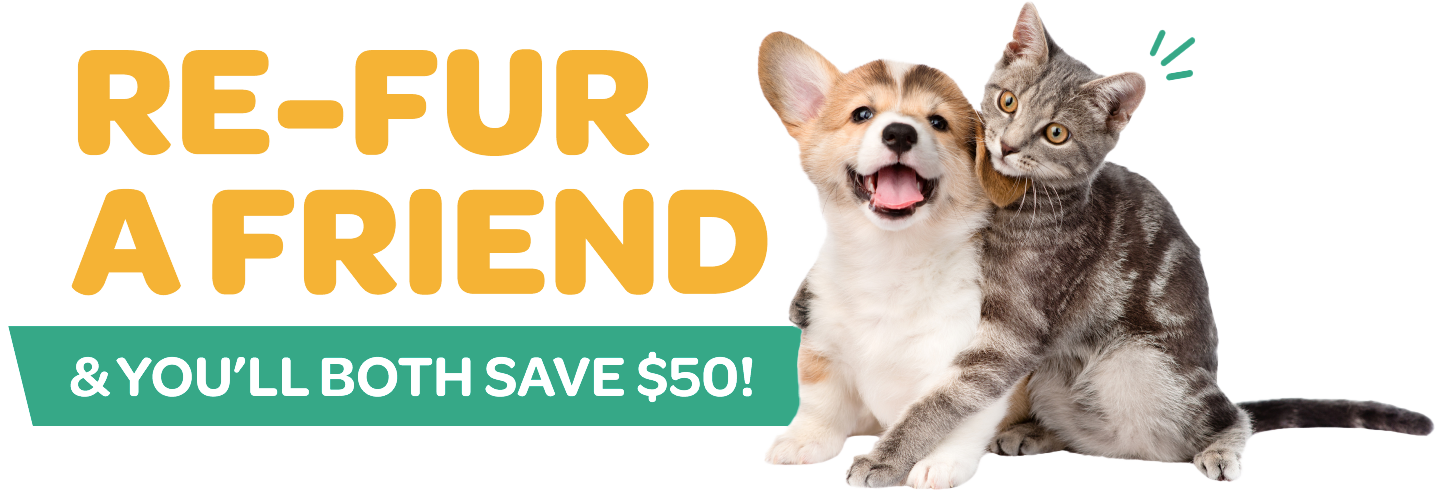 Graphic that reads "Re-fur a friend and you'll both save $50" with image of kitten and puppy to the right