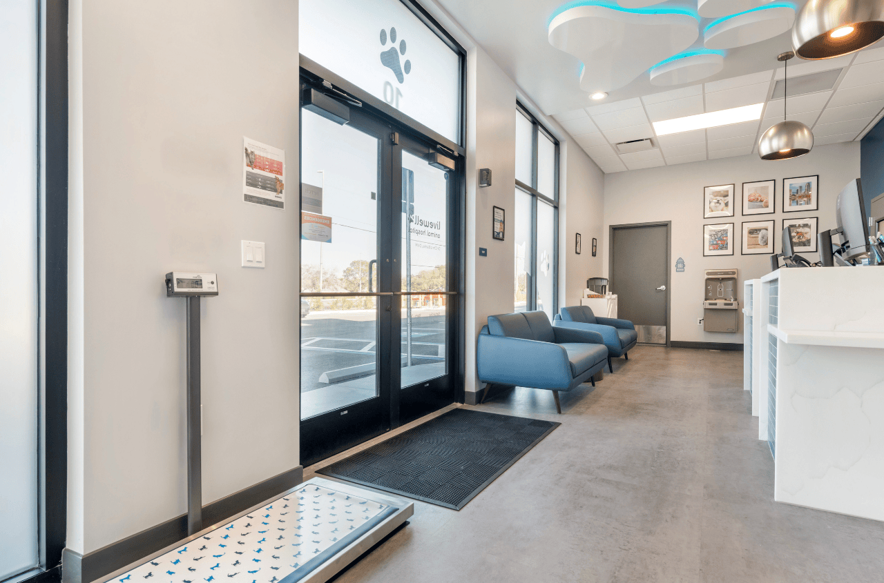 Lobby area with scale for pets to be weighed during their visit