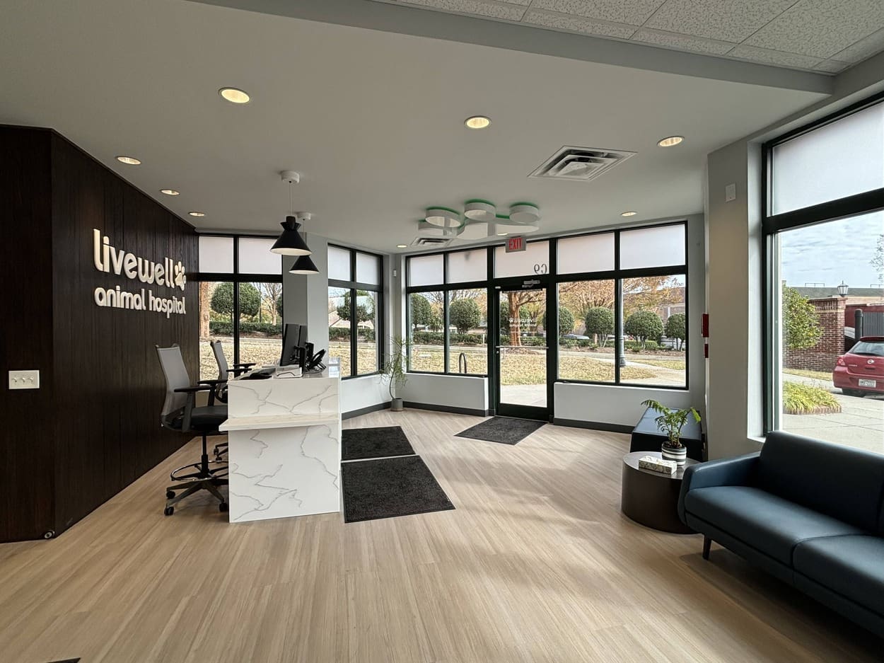 View of the receptionist area along with the seating area for pet parents