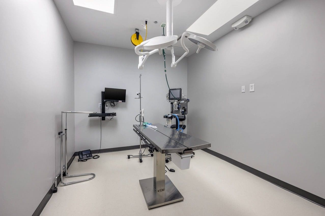 Empty sterile surgical procedure room