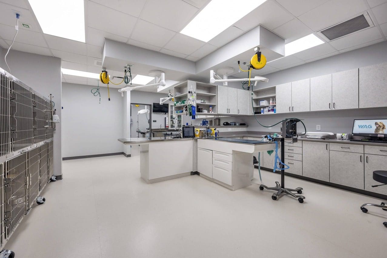 Empty treatment room next to kennel area