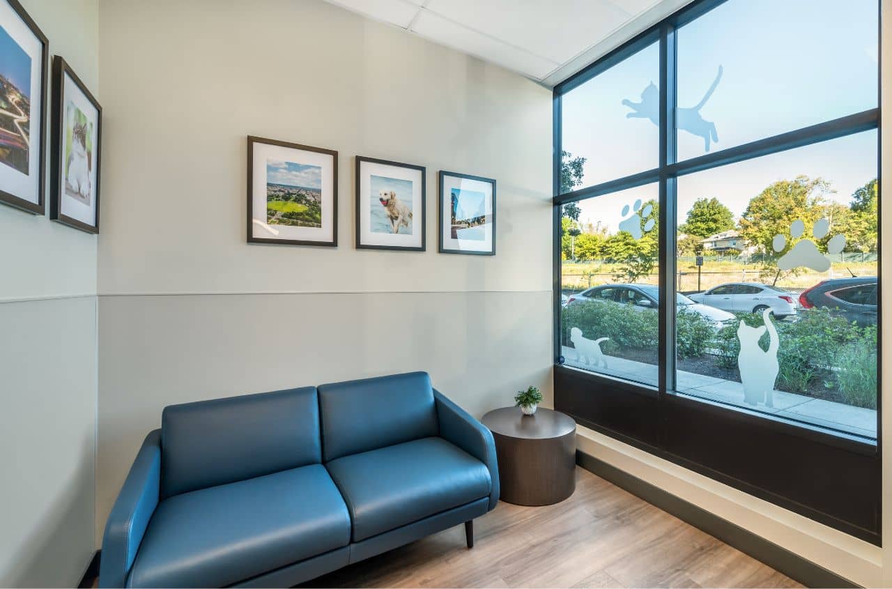 An empty couch in the lobby of the hospital