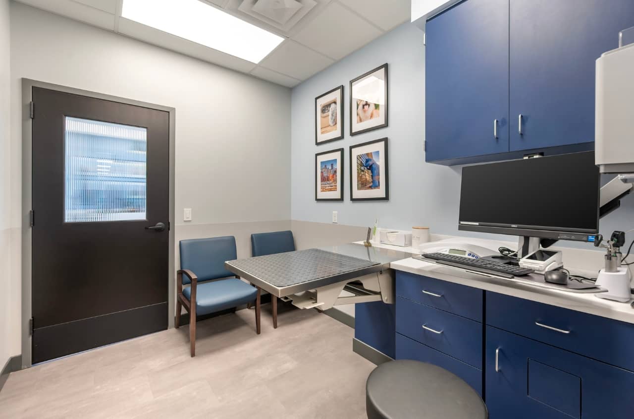 Exam room showing perspective from veterinarian desk