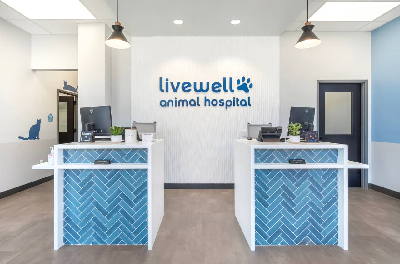 Livewell Animal Hospital of RiNo receptionist area from front view, showing both receptionist desks