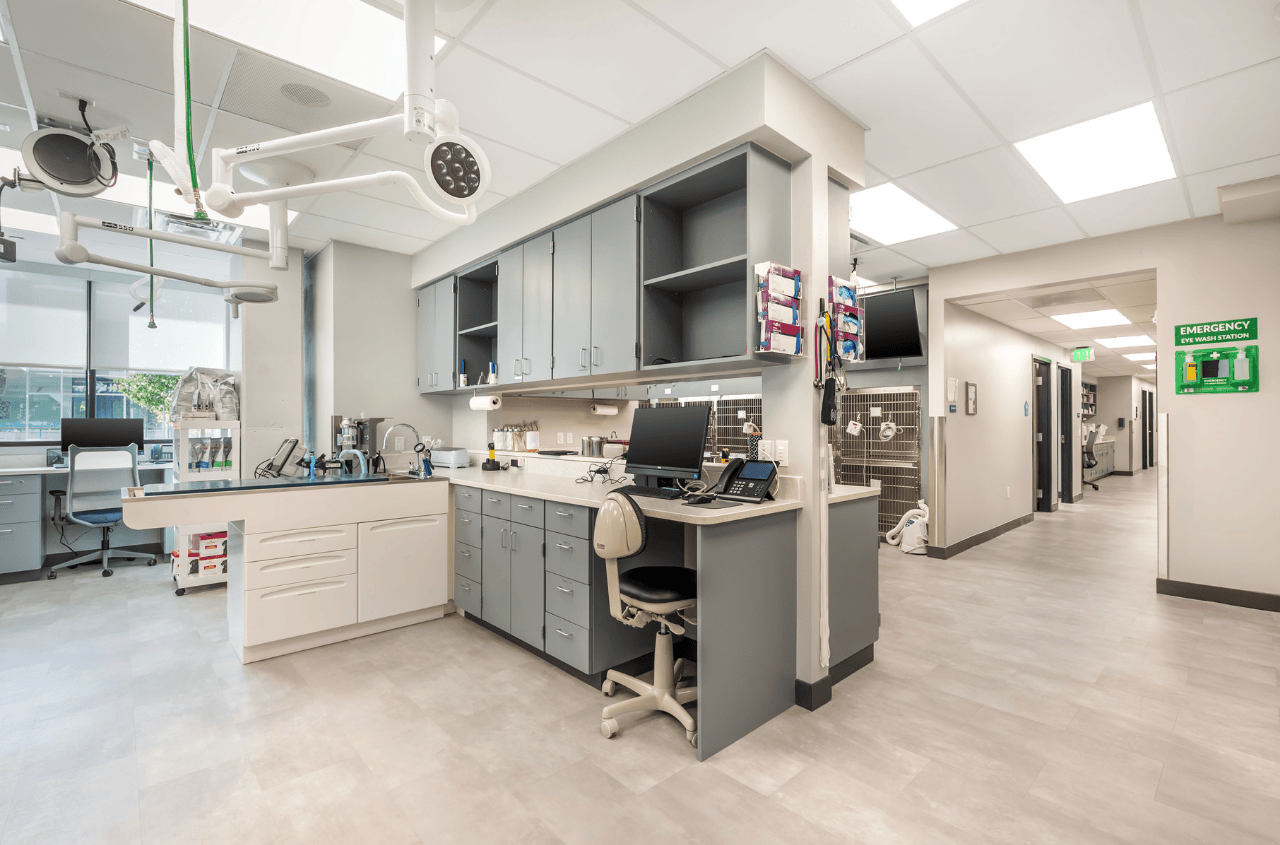 Empty exam table by kennel area of Livewell Animal of Sloan Lake