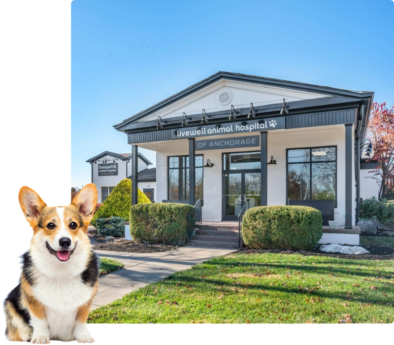 Livewell Animal Hospital