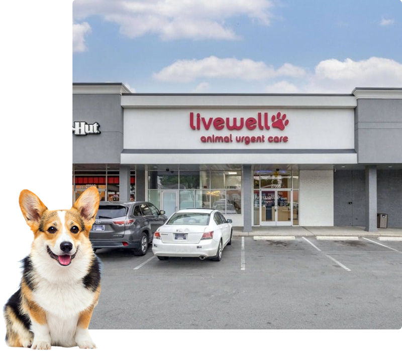 Livewell Animal Hospital