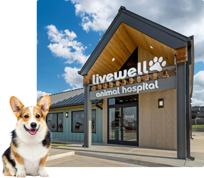 Livewell Animal Hospital