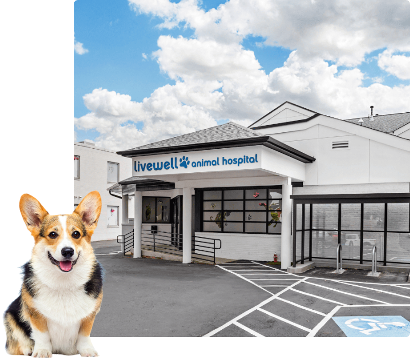 Livewell Animal Hospital