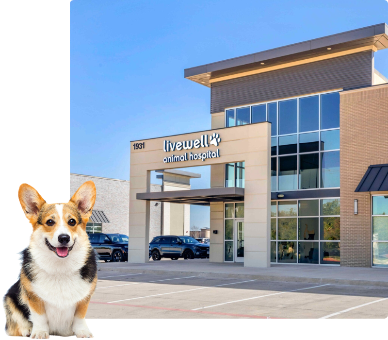 Livewell Animal Hospital