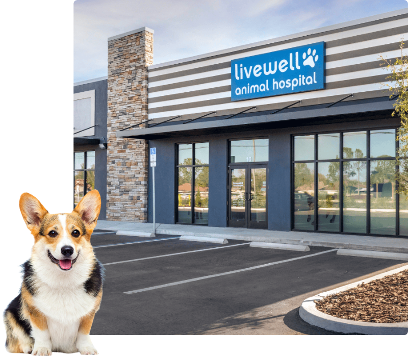 Livewell Animal Hospital