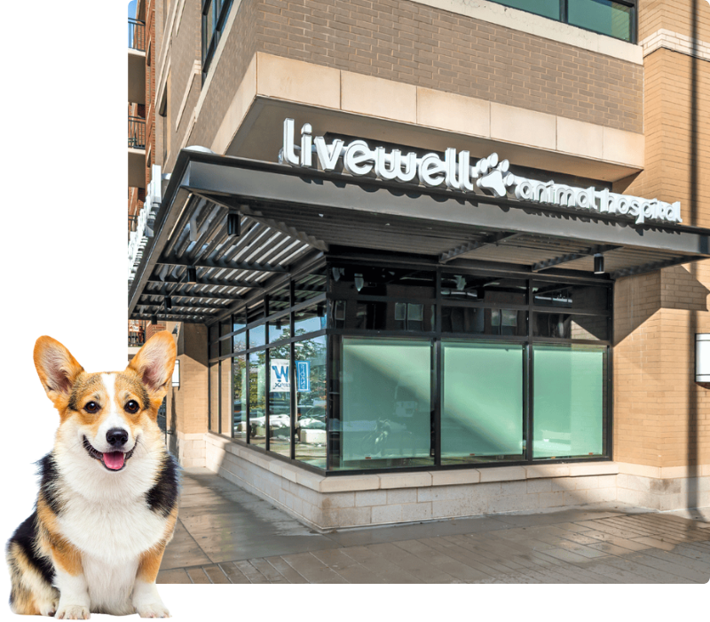 Livewell Animal Hospital