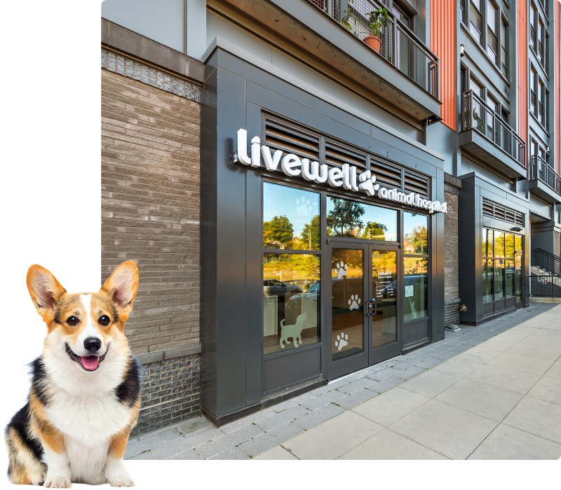 Livewell Animal Hospital