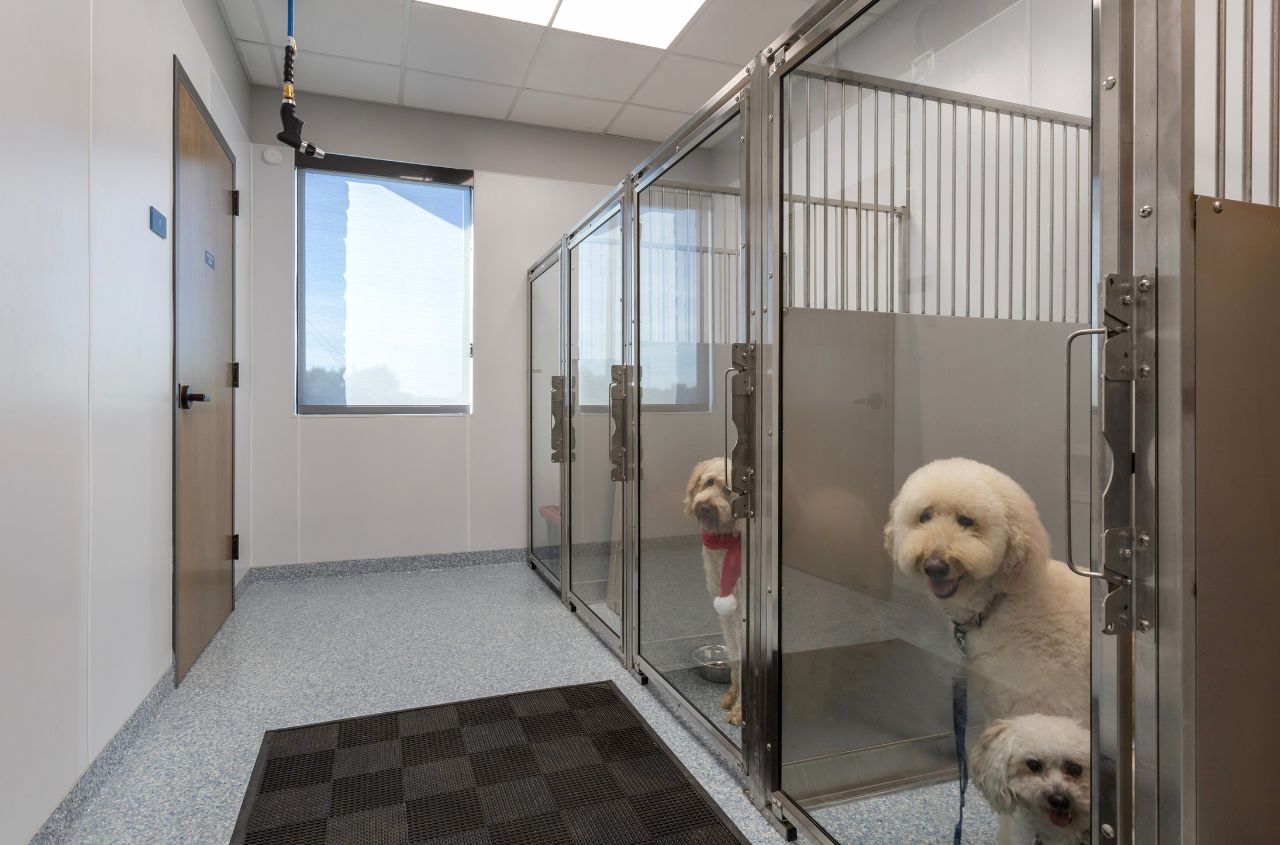 Additional kennel space with dogs in them