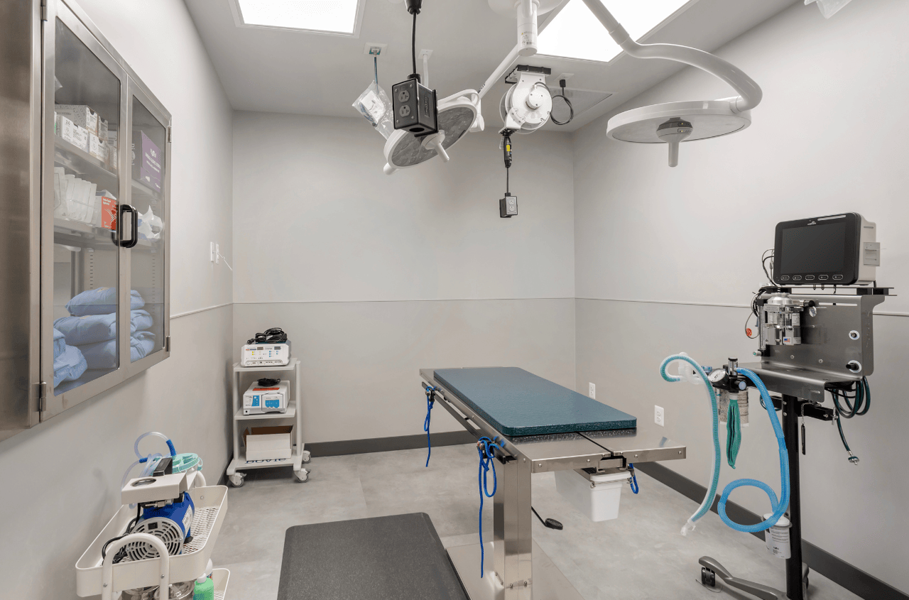 An empty and sterilized surgical room