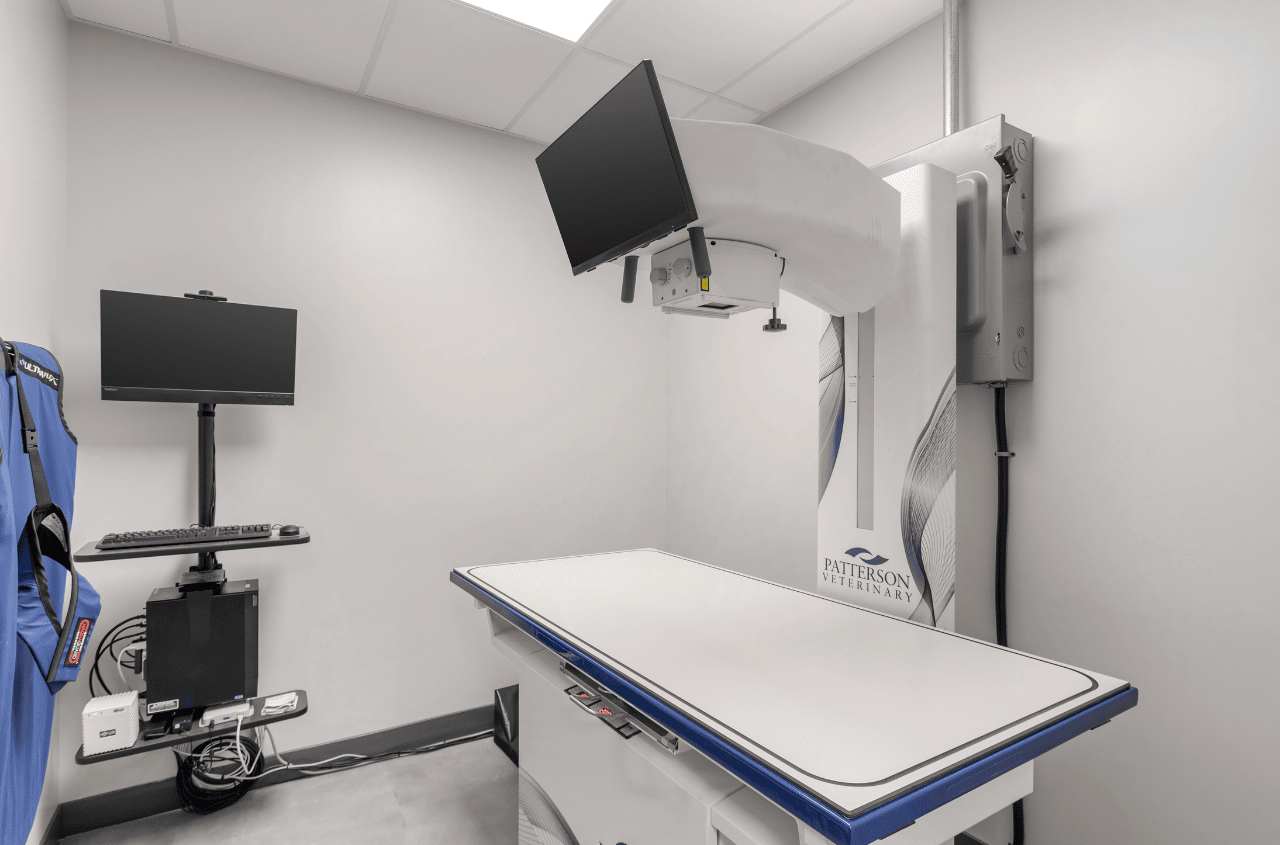 An empty and sterile xray room