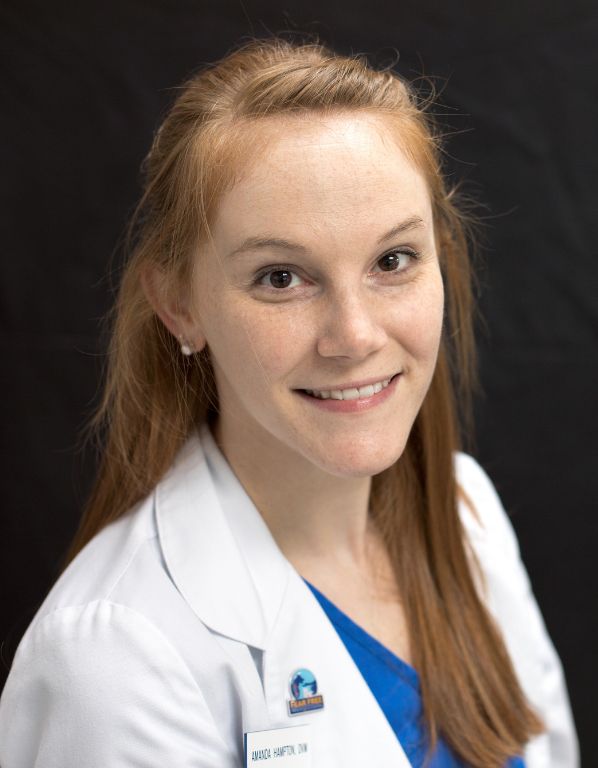 Dr. Amanda Hampton, Livewell Animal Hospital of Chevy Chase's DVM and Founder