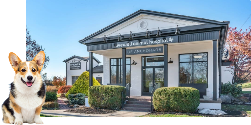 Livewell Animal Hospital