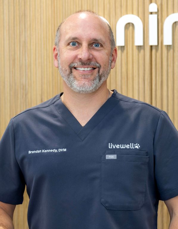 Dr. Brendan Kennedy, Lead DVM and Founder of Livewell Animal Hospital of Cypress