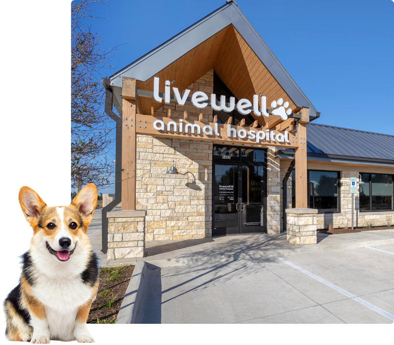 Livewell Animal Hospital