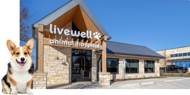 Livewell Animal Hospital