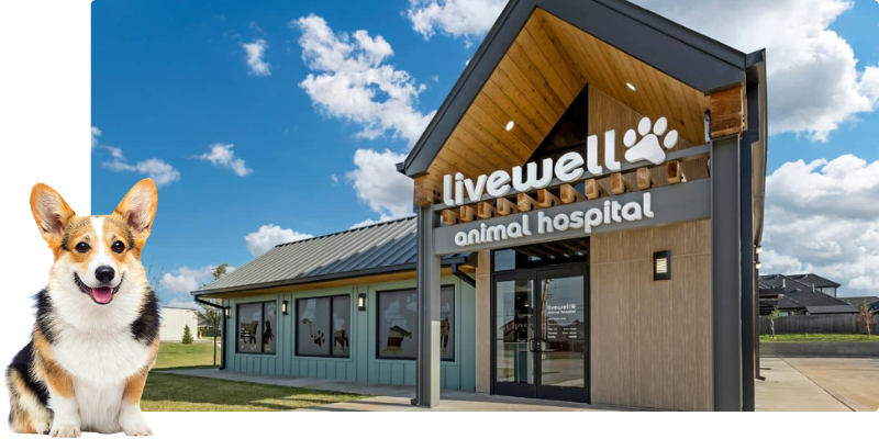 Livewell Animal Hospital