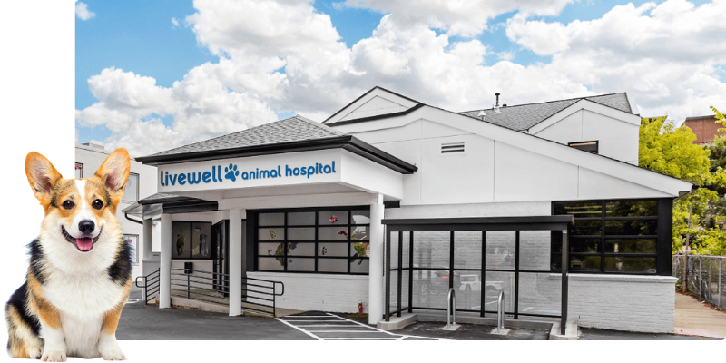 Livewell Animal Hospital