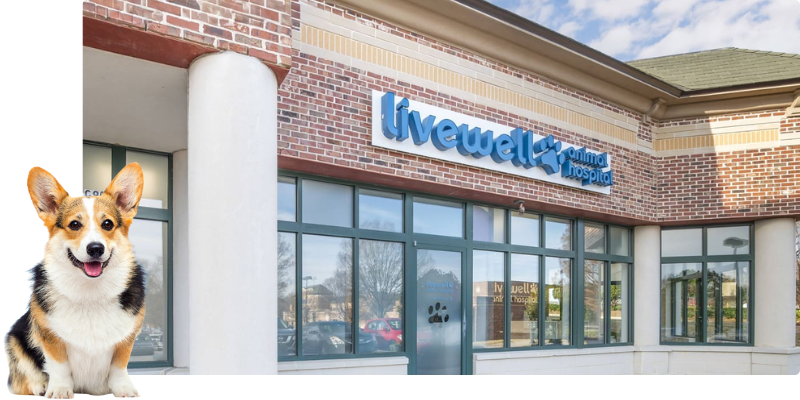 Livewell Animal Hospital