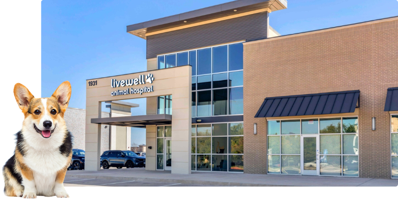 Livewell Animal Hospital