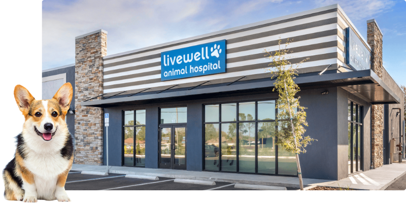 Livewell Animal Hospital