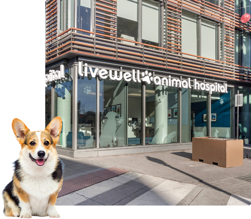 Livewell Animal Hospital