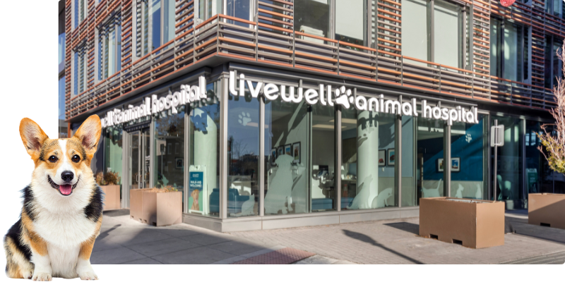 Livewell Animal Hospital