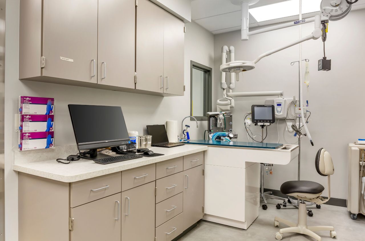 An empty and sterile dental procedure room