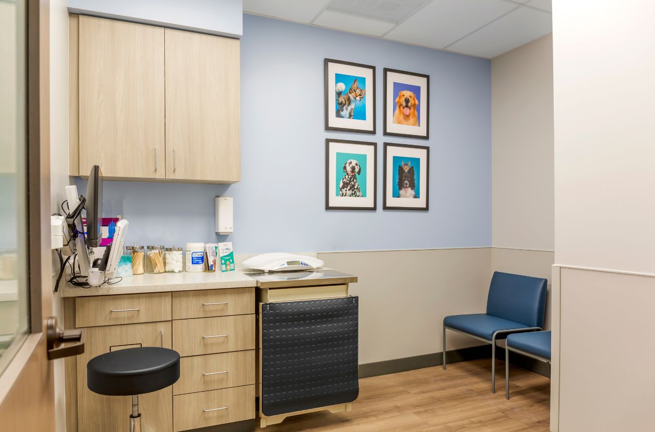 An empty exam room that's decorated with framed images of pets on the walls