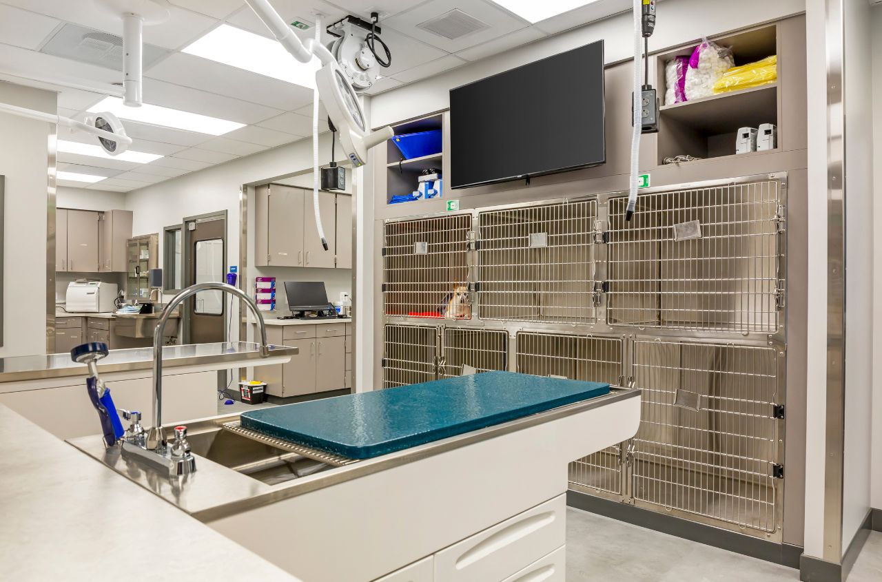 An image showcasing the kennel area of the hospital