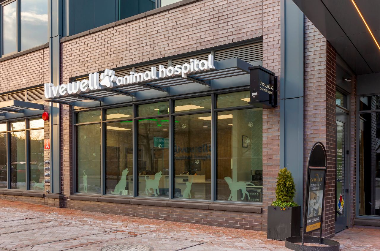 An outside view of Livewell Animal Hospital of Chevy Chase