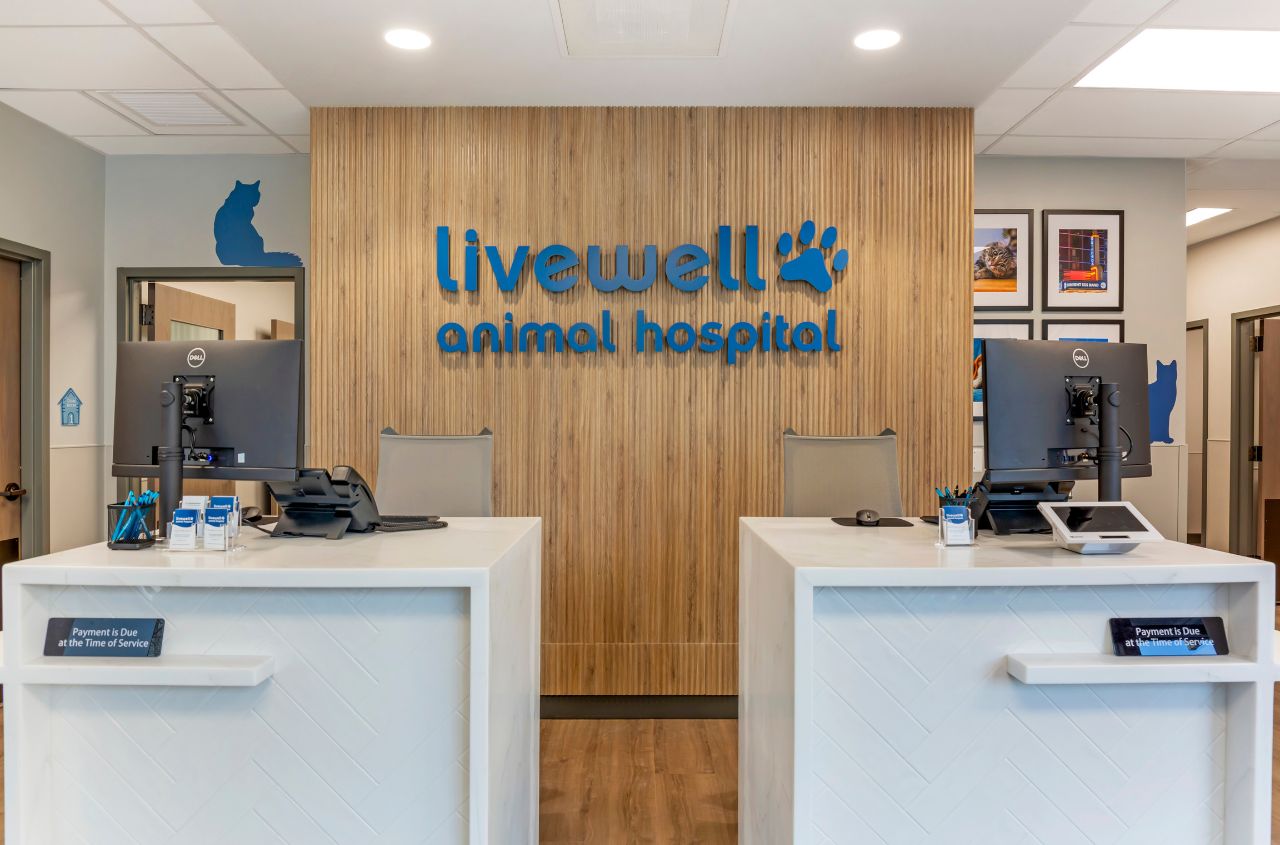 A front view of the receptionist area of Livewell Animal Hospital of Chevy Chase