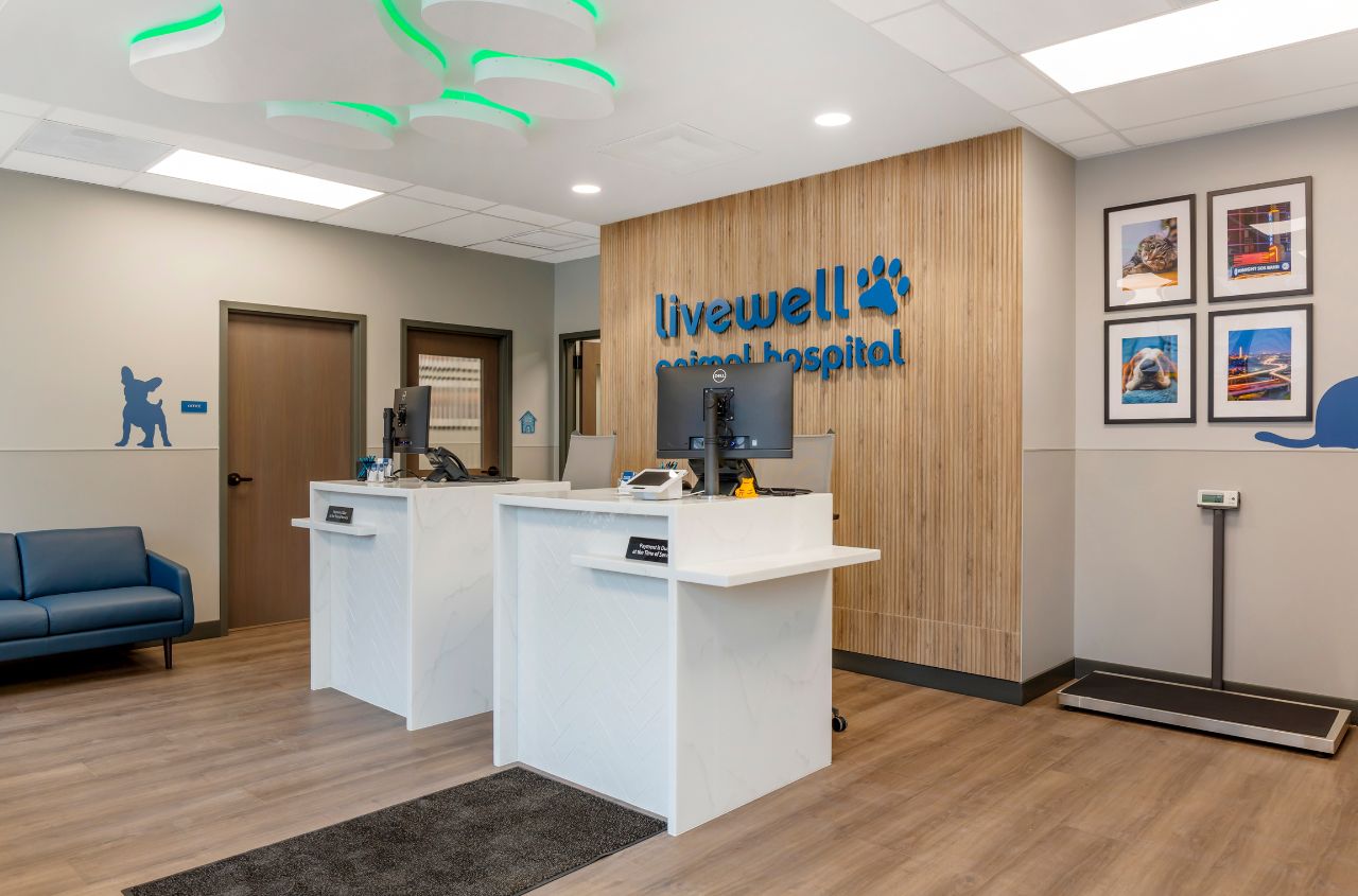 An angled view of the receptionist area where you can see additional seating for pet parents and a scale to weigh in patients upon arrival