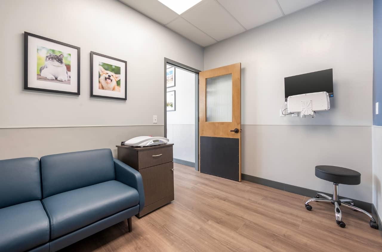 A different view of an exam room where we can see the seating area of pet parents and a scale for smaller pets