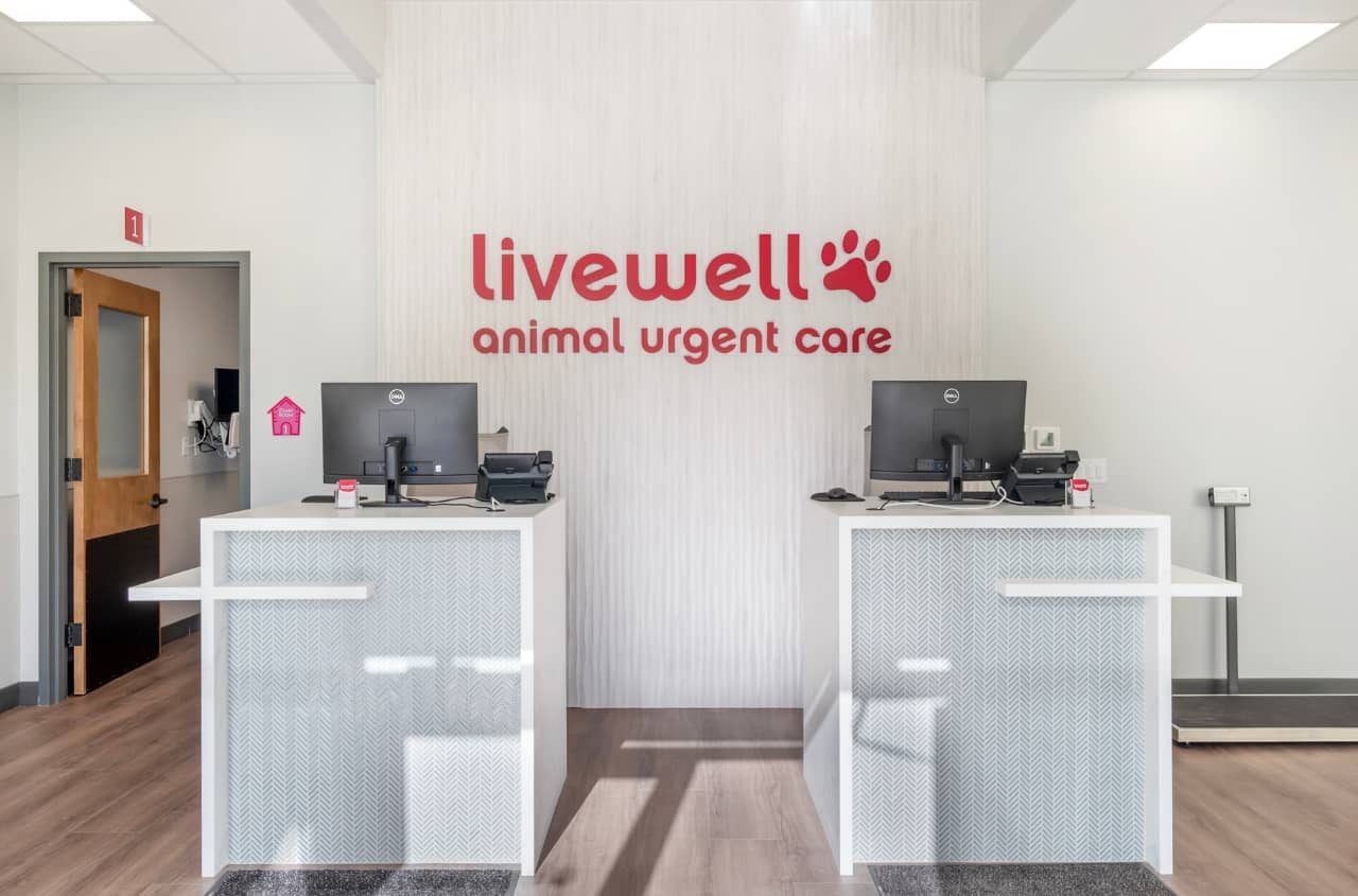 A front view of the receptionist area of Livewell Animal Urgent Care of Colorado Springs