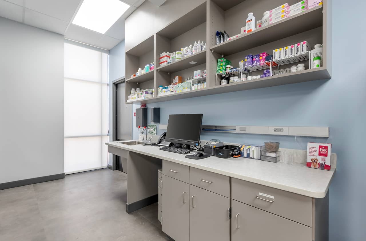 An empty view of the technician area where we can see medicinal bottles and boxes neatly arranged on shelving