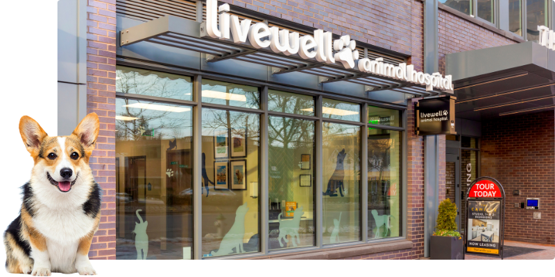 Livewell Animal Hospital of Chevy Chase