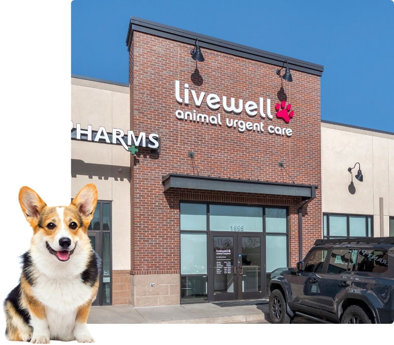 Livewell Animal Urgent Care of Colorado Springs